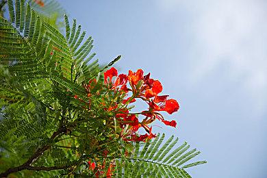 72hr行动集结 与ALIENWARE选出下一个爆款  